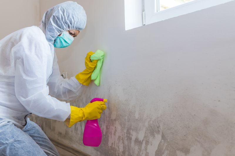 Basement Mold Remediation in Broward County, FL
