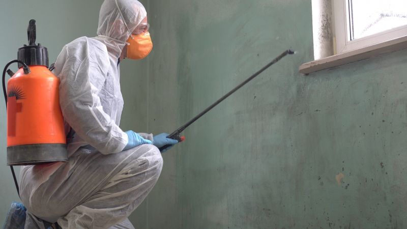 Mold Abatement in Dallas, TX
