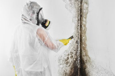 Mold Mitigation Service in Frisco, TX
