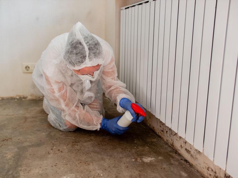 Attic Mold Remediation in Dallas, TX