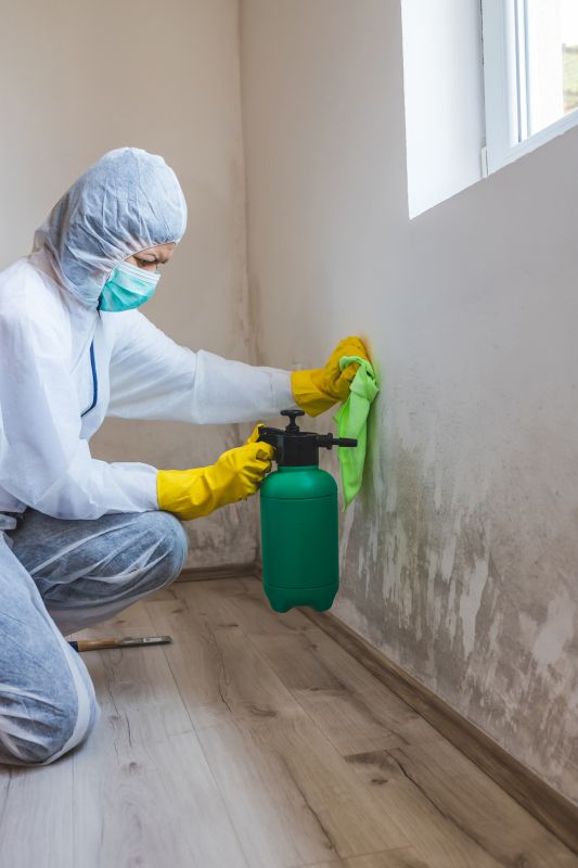 Attic Mold Remediation in West Palm Beach, FL