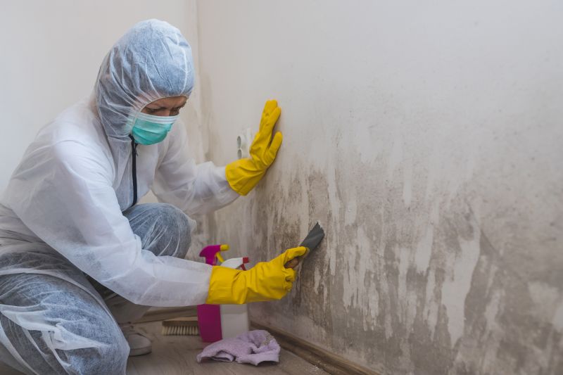 Attic Mold Removal in West Palm Beach, FL