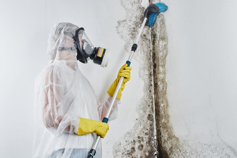 Attic Mold Removal in Fort Worth, TX
