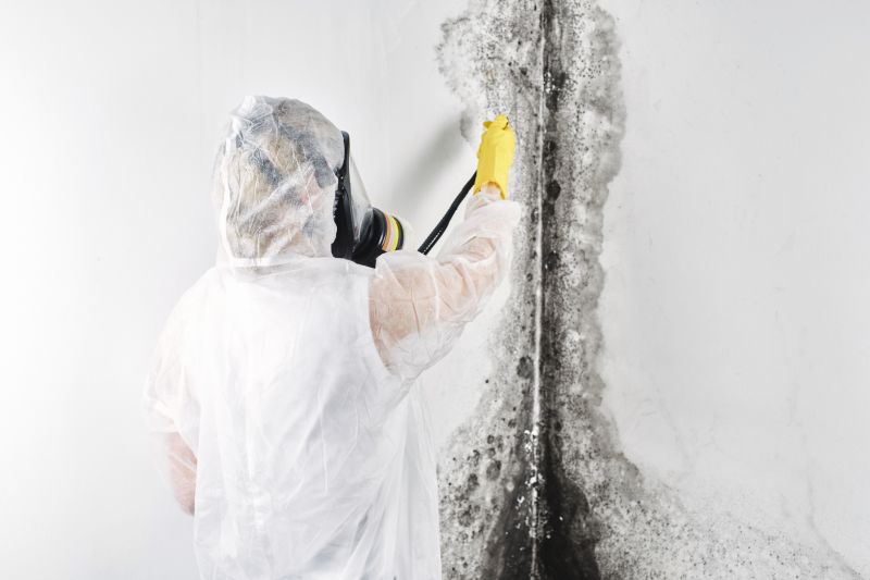 Basement Mold Remediation in Fort Lauderdale, FL