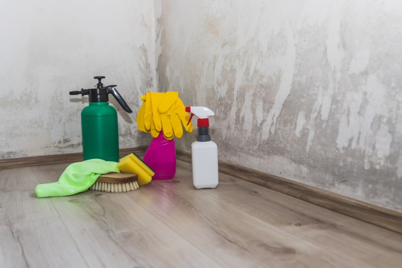 Crawl Space Mold Removal in West Palm Beach, FL