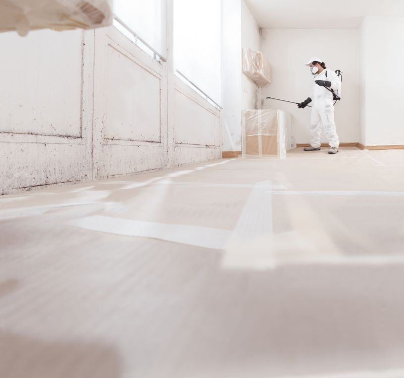 Garage Mold Remediation in Bergen County, NJ