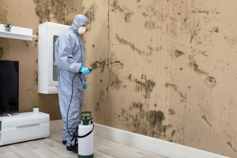 Mold Abatement in Palm Beach County, FL