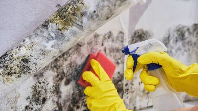 Mold Control in Weatherford, TX