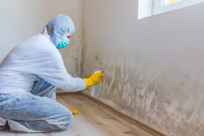 Mold Restoration in Dallas, TX