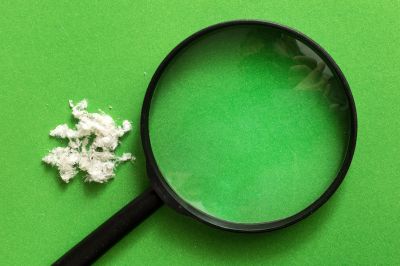 Pre-Renovation Testing